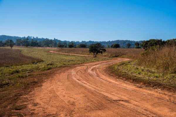 Cost of Dirt Driveway Repair in Lafayette