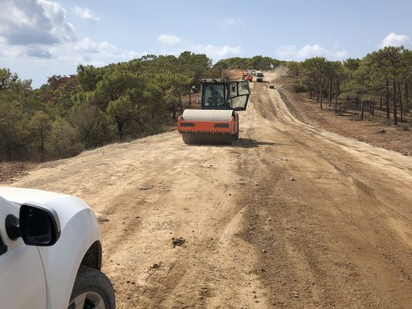 Cost of Driveway Grading in Lafayette