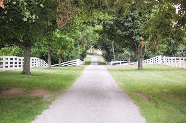Cost of Gravel Driveway Construction in Lafayette
